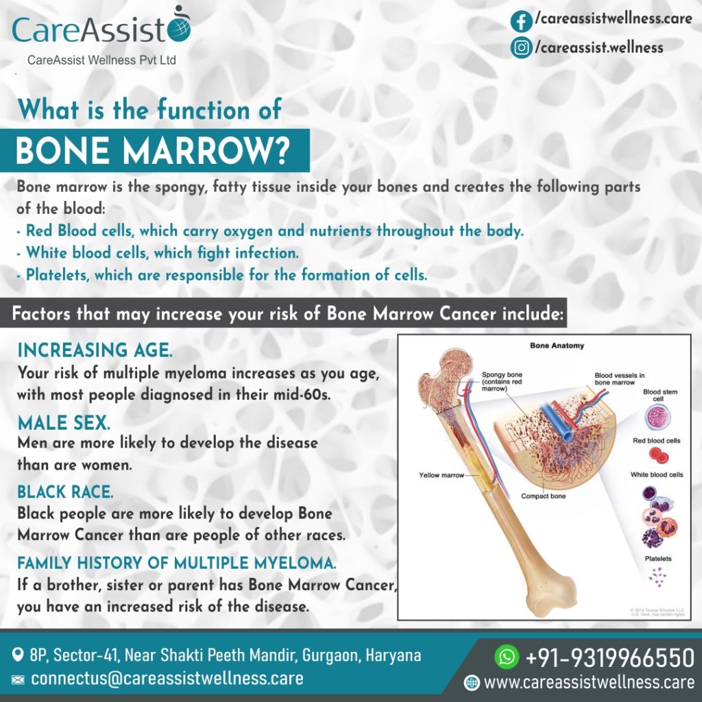 Bone Marrow Transplant